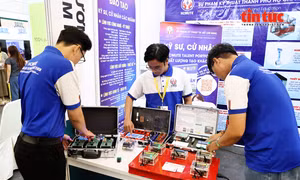 Mở đường cho trí tuệ Việt Nam