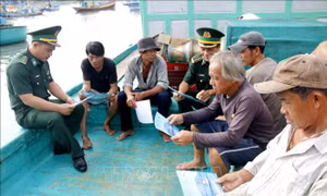 Lâm Đồng triển khai 7 nhóm giải pháp chống khai thác IUU
