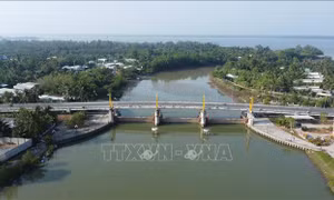 Chủ động phòng chống hạn, mặn mùa khô