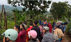 Xác định nghi phạm trong vụ nữ nhân viên trường học tử vong tại rẫy cà phê