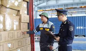 Hạ tầng và công nghệ thúc đẩy Chi Ma thành điểm sáng biên mậu