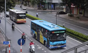 Thực hiện Luật Trật tự, an toàn giao thông đường bộ: Doanh nghiệp vướng như 'gà mắc tóc'