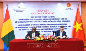 Thúc đẩy hợp tác đầu tư Việt Nam - Ghi-nê