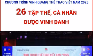 Chương trình Vinh quang Thể thao Việt Nam 2025: 26 tập thể, cá nhân được vinh danh