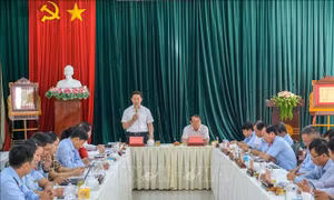 Đề xuất tổ chức hoạt động cơ quan Thanh tra Nhà nước theo cơ chế lãnh đạo ‘song trùng’
