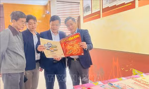 Vi phạm bản quyền báo chí: ‘Căn bệnh’ dai dẳng mang hệ lụy lớn