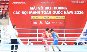 Khai mạc Giải vô địch boxing các đội mạnh toàn quốc năm 2026