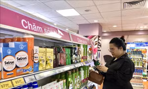 Kiến tạo hệ sinh thái doanh nghiệp Việt có thương hiệu xanh mạnh