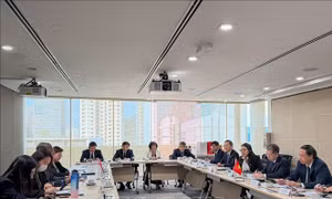 Tăng cường hợp tác và trao đổi kinh nghiệm giữa tòa án tối cao Việt Nam - Singapore
