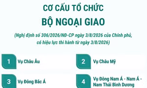 Cơ cấu tổ chức của Bộ Ngoại giao
