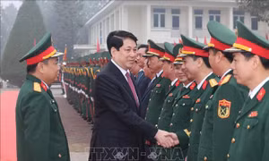 Chủ tịch nước Lương Cường thăm, chúc Tết Quân khu 2 và Sư đoàn 316
