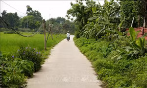 Sớm bổ sung nguồn lực để hoàn thiện giao thông cơ sở