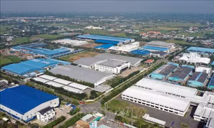 Lực hút công nghiệp Đồng bằng sông Cửu Long