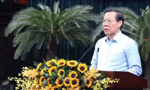 Xây dựng môi trường, chính sách thu hút nhân tài trong lĩnh vực văn hóa