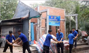 Tuổi trẻ xung kích thay đổi diện mạo đô thị, nông thôn