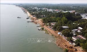 Đồng Tháp khó khăn trong xây kè bờ từ đoạn Bình Thành đến vàm Phong Mỹ