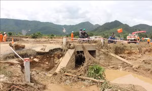 Vụ vỡ hồ chứa trên núi tại Lâm Đồng: Yêu cầu doanh nghiệp dừng ngay việc trữ nước