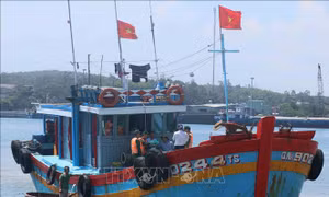 Đội tàu xa bờ hùng mạnh nhất tỉnh Quảng Nam quyết tâm gỡ bỏ 'thẻ vàng' IUU