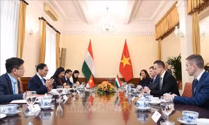 Tăng cường hơn nữa quan hệ hợp tác song phương Việt Nam - Hungary