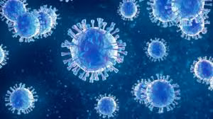 Đức ghi nhận một ca nhiễm virus Borna hiếm gặp, đặc biệt nguy hiểm 