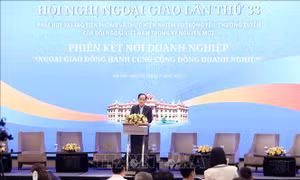 Ngoại giao đồng hành cùng doanh nghiệp, mở rộng không gian phát triển cho Việt Nam