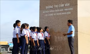 Hồi sinh vùng đất từng bị bom đạn tàn phá