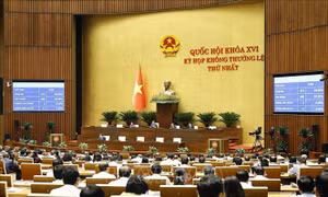 Điểm tin kinh tế Việt Nam nổi bật ngày 24/8/2026