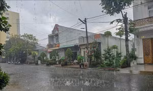Mưa trái mùa giải nhiệt cho thành phố Cần Thơ