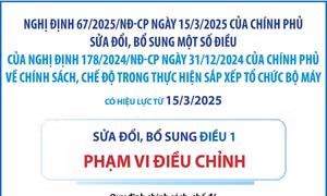 Sửa đổi, bổ sung chính sách, chế độ trong thực hiện sắp xếp tổ chức bộ máy