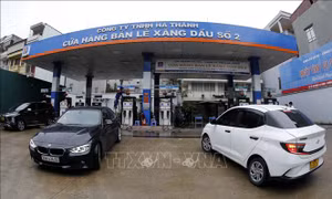 VPI dự báo giá xăng tăng, giá dầu giảm trong kỳ điều hành ngày 1/11