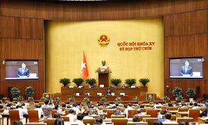 Cơ chế, chính sách đặc thù cho Hải Phòng mở ra cơ hội lớn cho đổi mới sáng tạo và công nghệ cao