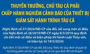 Thuyền trưởng, chủ tàu cá phải chấp hành nghiêm cảnh báo của thiết bị giám sát hành trình tàu cá