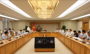 Sớm hoàn thiện các bộ tiêu chuẩn làm cơ sở triển khai dự án đường sắt tốc độ cao