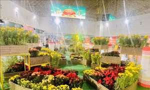 Lan tỏa tinh hoa Hà Nội từ Hội chợ Mùa Thu 2025