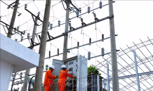 Điện lực miền Bắc thực hiện phương châm '4 tại chỗ' ứng phó với bão số 3
