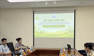 Đảm bảo an sinh xã hội tại một số quốc gia châu Âu: Giá trị tham chiếu cho Việt Nam