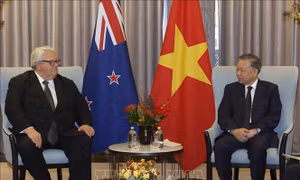 Tổng Bí thư, Chủ tịch nước Tô Lâm hội kiến Chủ tịch Quốc hội New Zealand