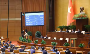 Quốc hội thông qua Luật Tư pháp người chưa thành niên