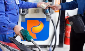 VPI dự báo giá xăng dầu biến động nhẹ trong kỳ điều hành ngày 15/8