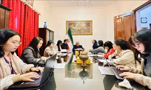 Đại biện lâm thời Iran tại Việt Nam: Trân trọng vai trò tích cực, quan điểm của Việt Nam trong ủng hộ hòa bình