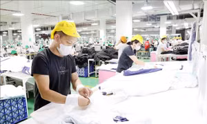 Điểm tin kinh tế Việt Nam nổi bật ngày 17/7/2026