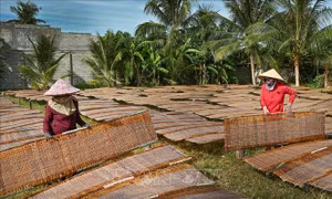 Các làng bánh truyền thống Lâm Đồng 'đỏ lửa' vụ Tết