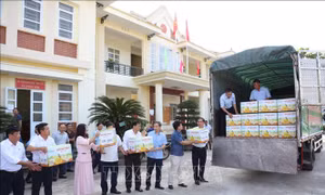 Xuất khẩu sản phẩm bưởi Soi Hà sang thị trường Anh