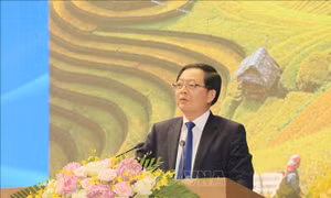 Lào Cai cần cụ thể hóa các cơ chế, chính sách đặc thù để thu hút đầu tư
