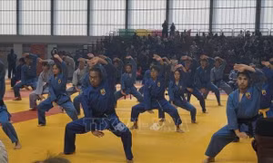 Vovinam - Việt Võ Đạo hội tụ tại Paris sau 30 năm phát triển toàn cầu