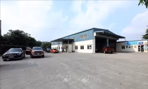 Đóng cửa nhiều trung tâm đăng kiểm phía Bắc do ảnh hưởng bão số 3