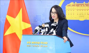 Việt Nam sẵn sàng hợp tác chặt chẽ với Hoa Kỳ để nhận trở lại công dân