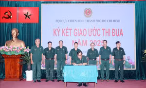 Cựu chiến binh gương mẫu, nòng cốt tham gia bảo vệ nền tảng tư tưởng ở cơ sở