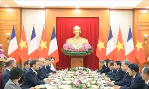 Nền tảng lịch sử, động lực tương lai cho quan hệ Việt - Pháp