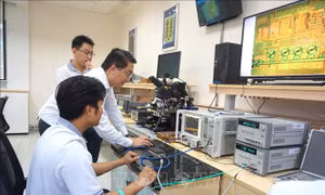Hướng tới tiền lương tối thiểu đủ sống để phát triển bền vững